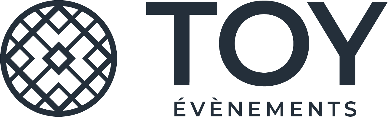 toy