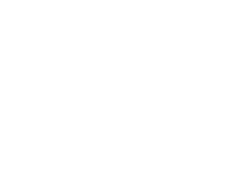 logo burger king blanc
